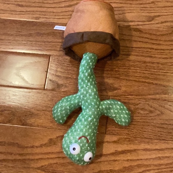 Cactus for kids. - Picture 5 of 14